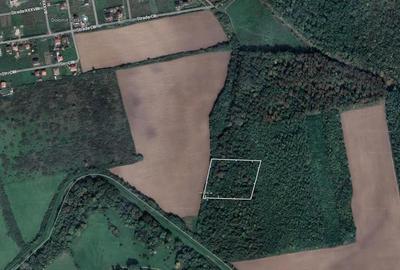 1 Ha Pădure lângă Mănăstirea Șag – Front 100 ml - 2