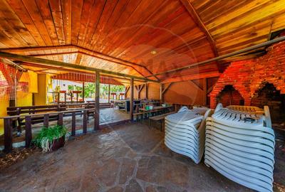 Hotel Panoramic- Investiție cu potențial balnear în statiunea Moneasa - 40