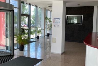 Berceni- Metalurgiei, showroom, birouri, depozitare 1532 mp - 11