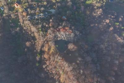 Teren Colinar Panoramic – 17.684 mp în Scheii Brașovului - 2