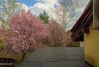 Dumbravita - Str Soarelui - Casa P+1, 3 Camere, Parcare Acoperita - 18