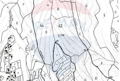 Padure 34 ha Capusu Mare - 4
