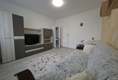 Garsoniera moderna Pacurari - 7