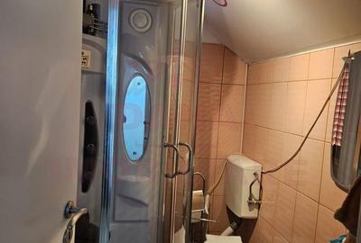 CASĂ DE VÂNZARE ÎN POUANA MĂRULUI,JUD. CARAȘ-SEVERIN - 16