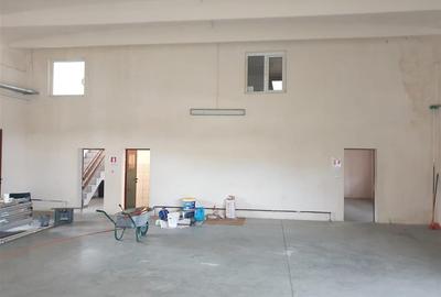 Inchiriez Spatiu industrial Hala  langa A1 spre Timisoara - 9