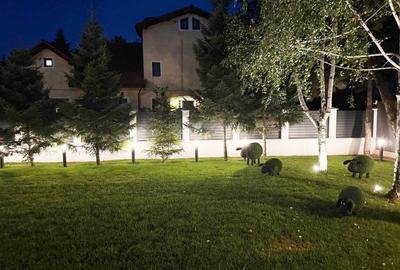 Vila de lux, stil contemporan -  IANCU NICOLAE - 6