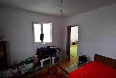 Teren Generos cu Casa in Gruiu - Snagov - 24