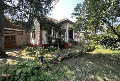 Popas La Doi Brazi - magazine, bar, terasă, casă boierească, grădină și piscină - 1