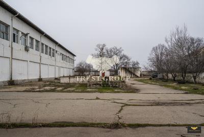 Teren Caracal 28.788m + Hale industriale + Sediu Firma - 29