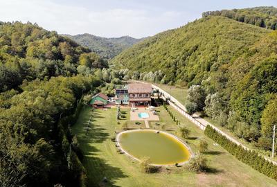 Proprietate Deosebita - Liziera Padurii - 15