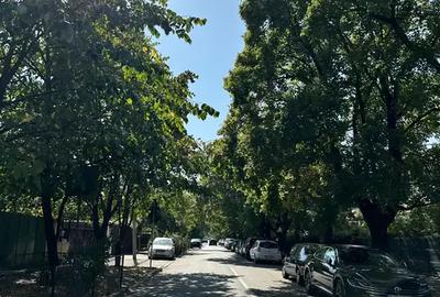 Garsoniera Baneasa | Zona Selecta | Mobilat, Utilat | Investitie - 16