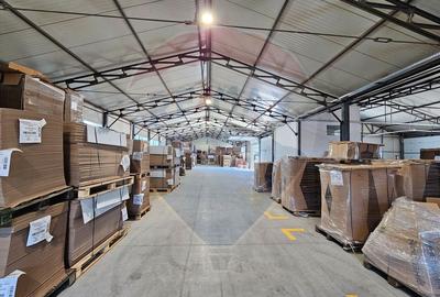 Hale Industriale 5065 mp de vanzare Str. Bradului - Bacau - 23
