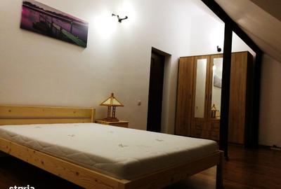 Apartament 2 camere de închiriat Brâncoveanu - 6