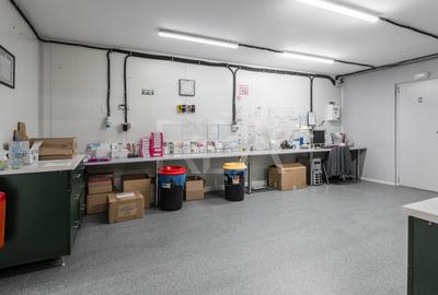 Hale depozitare/productie + Cladire de birouri | Teren 4213 m.p. | Tunari - 48