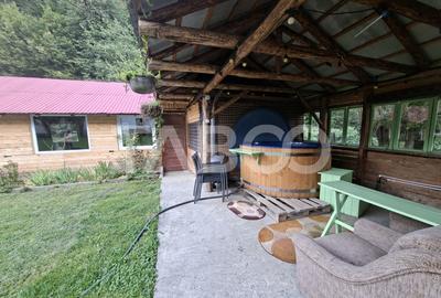 Spatiu de vanzare in Valea Macesului judel Valcea iesire la Lotru - 32