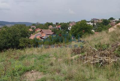 FARA COMISION! Teren constructii 3400mp, front 31 m, panorama, Dambul Rotund - 4