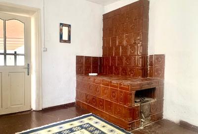Potențial pensiune / investiție / casa de vacanță - 5
