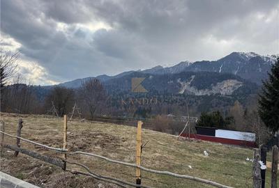 Refugiu de vis in Busteni – casa cocheta cu teren generos si priveliste spectacu - 29