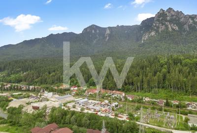 Proprietatea ideală pentru locuință sau investiție turistică - Bușteni, Zamora - 19