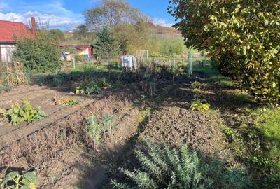 Casă spațioasă + teren intravilan-Sigmir-275 mp utili-teren 3300mp - 5