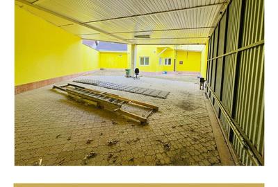De inchiriat cladire comerciala potential P+M Gradiste Arad - 33