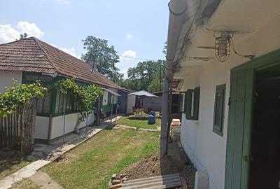 Vând casă parinteasca localitatea Vlădeni, com. Corlăteni, jud. Botoșani - 6