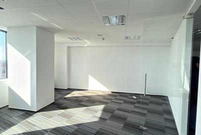 Baneasa Office Space in Cladire Clasa A - 42