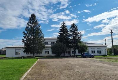 Hala industriala de vanzare in Harlau, 11.500 mp utili, teren 44.268 mp - 10