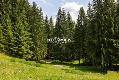 Teren intravilan | Moieciu de Sus | 12307 | PUZ - 9