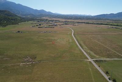 Teren extravilan Rasnov - 18