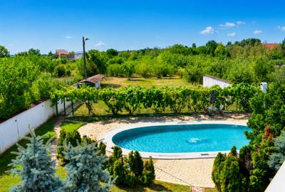 Vila superba cu piscina si gradina superba in Domnesti - 3