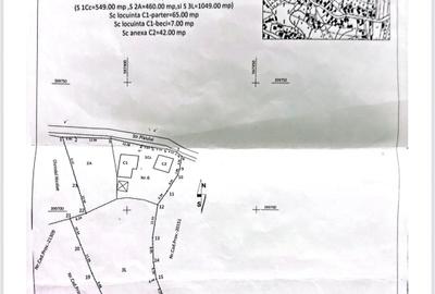 Vand teren, livada + 2 corpuri de casa batranesti - 9