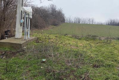 Teren de 6700mp, la intrarea in Filiasi ,la 50m de str. Racoteanu - 1