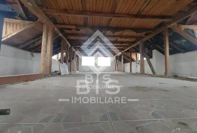 Cladire P+1+M cu destinatie mixta - 2