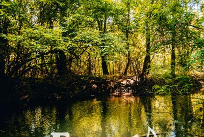 Terenuri intravilane în Crevedia – cartier rezidențial nou lângă 2 păduri - 1