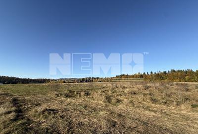 Teren intravilan | Horodnic de Sus – zona Tecioara | 2.900 mp - 2
