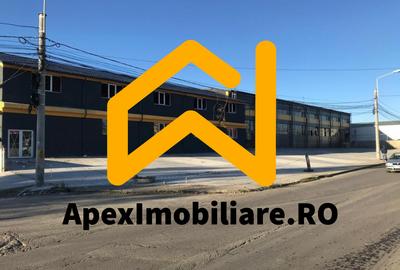Spațiu industrial, de 550.00 mp, în Malu Roșu