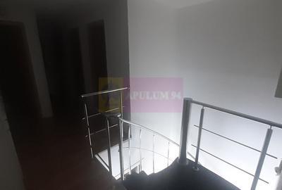 Spatiu Comercial Stradal Șoseaua Colentina zona Teiul Doamnei Suveica - 47
