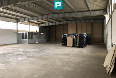 Hală cu teren intravilan de 3500 mp, în Sebiș Arad - 24