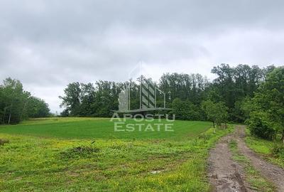Teren mixt de 8.600 mp, ideal pentru investitie, Cuied - 2