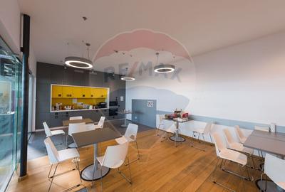 Spațiu de birouri 800 mp - zona centrala - 1