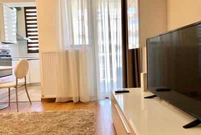 Apartament de inchiriat 1 camere zona Copou-Stadion Emil Alexandrescu - 2