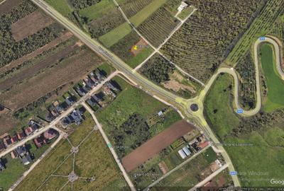 Vindem parcela teren intravilan de 841 mp in Oncea - 8
