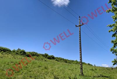 De vânzare teren intravilan de 30 000 m² (3 ha) în Reghin - 13