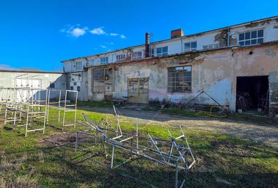 De vanzare spatiu industrial in Turnu Magurele - Teleorman - 49