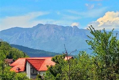 CASA PE PARTER IN BUJORENI - LINISTE, CURTE SI VEDERE SPRE VF. COZIA - 13