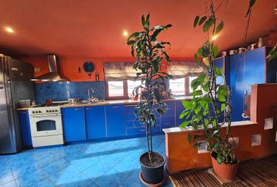 Coiciu Casa de Vanzare Casa din Vis P+M Parcare in Curte - 21