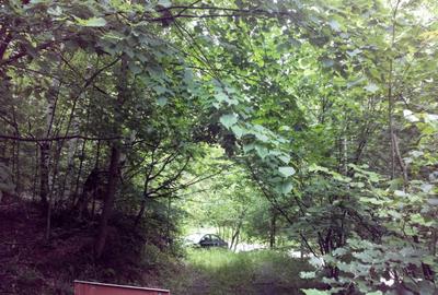 Proprietate rară în inima Retezatului – 5.700 mp teren intravilan - 11