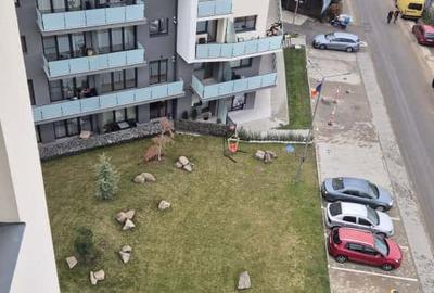 Proprietar, inchiriez spatiu pentru birouri si sala sedinte,150 mp+balcon+depoz. - 11