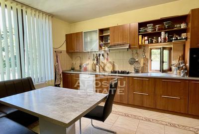 Casa individuala de vanzare Ronat Timisoara - 10